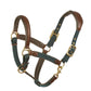 Brown leather combined with hunter green nylon horse halter with brass fittings.
