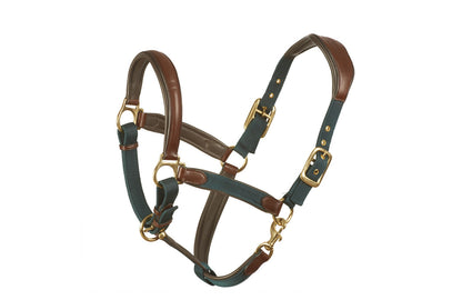 Brown leather combined with hunter green nylon horse halter with brass fittings.