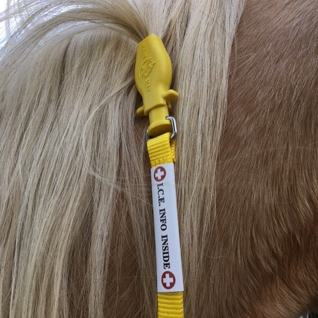 Yellow info tag clipped onto a horse's mane