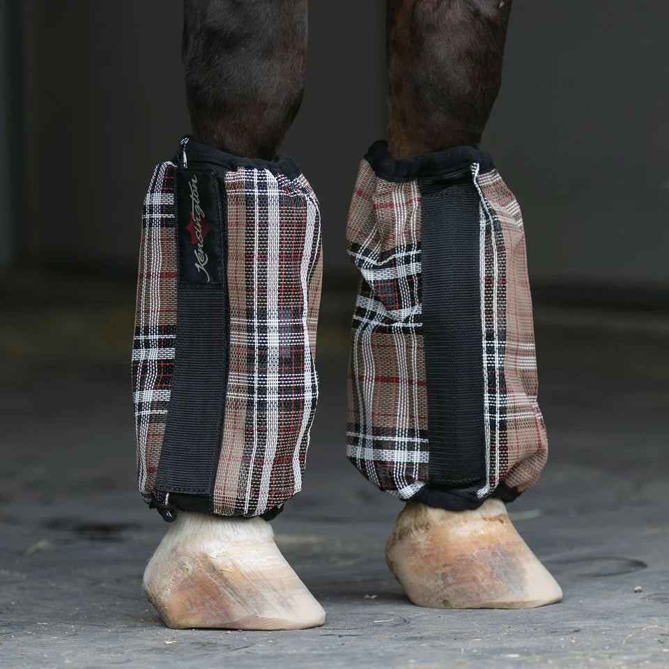 Horse's legs shown with Kensington brown and black plaid bubble boots for fly protection.