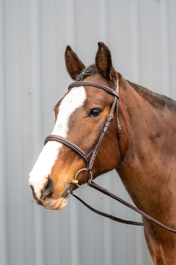 left view of brown horse with white stripe down middle of face wearing brown leather bridle with forelock braided and both ear forward on a blurred grey background
