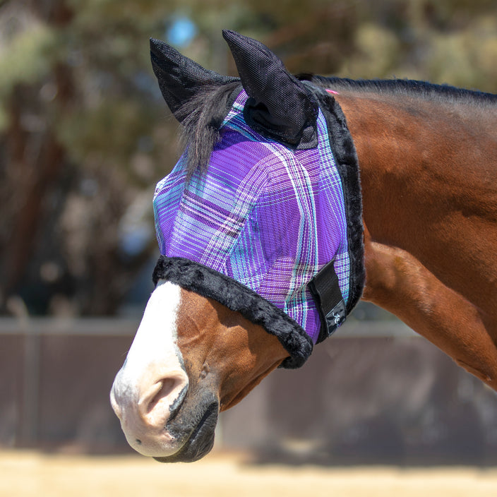 Plaid lavender mint fly mask with ears shown on a bay horse with a white blaze